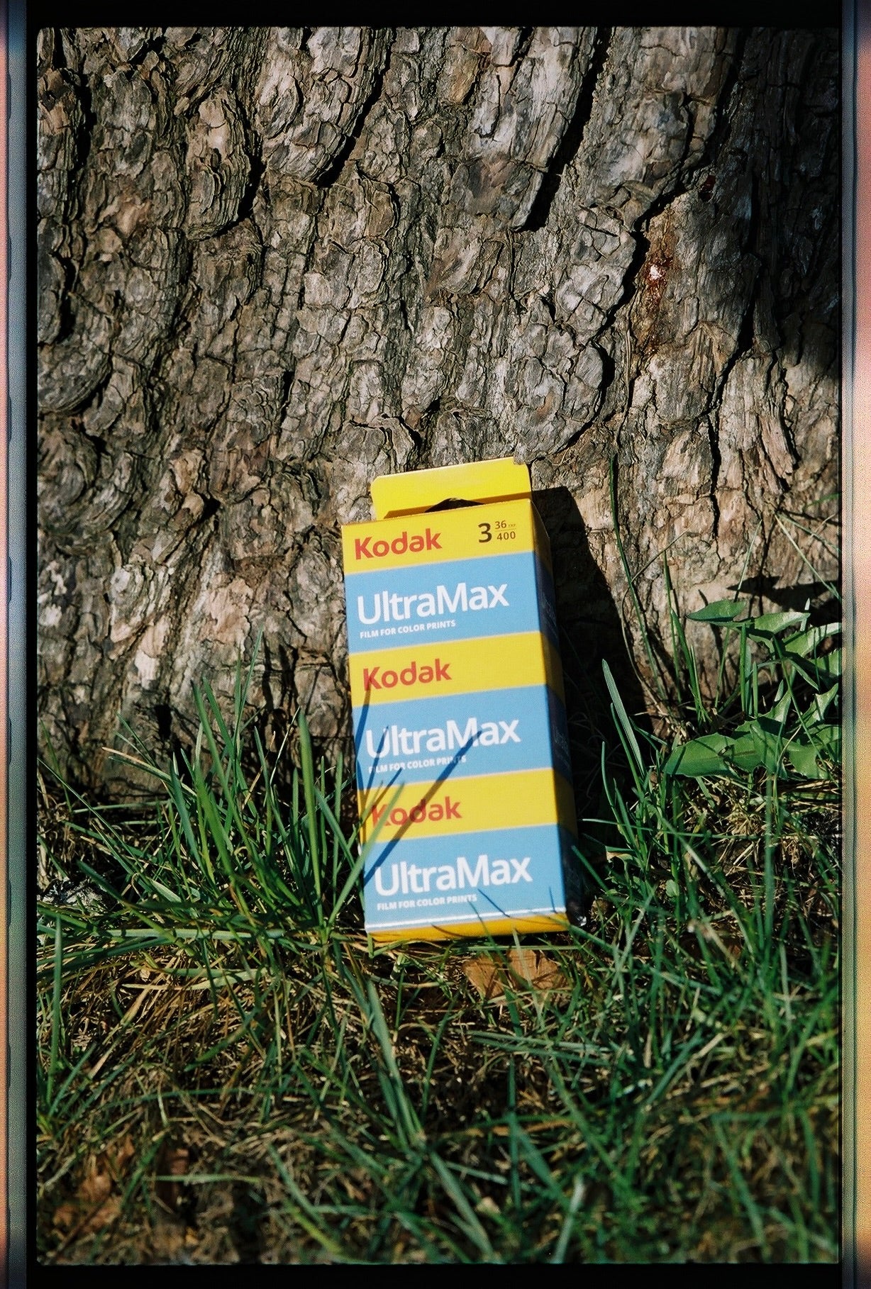 Kodak - UltraMax 400 - 35mm - (36 exp) - ProPack - 3 Rolls
