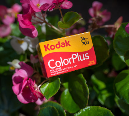 Kodak - ColorPlus 200 - 35mm - (36 exp) - 1 Roll